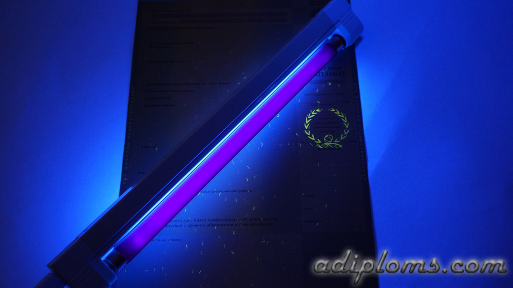 Диплом специалиста 2011-2013 Фото Диплом специалиста 2011-2013 Фото